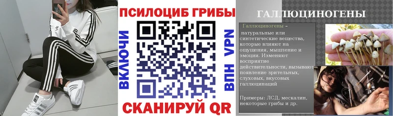 Галлюциногенные грибы мухоморы  гидра зеркало  Тюмень 